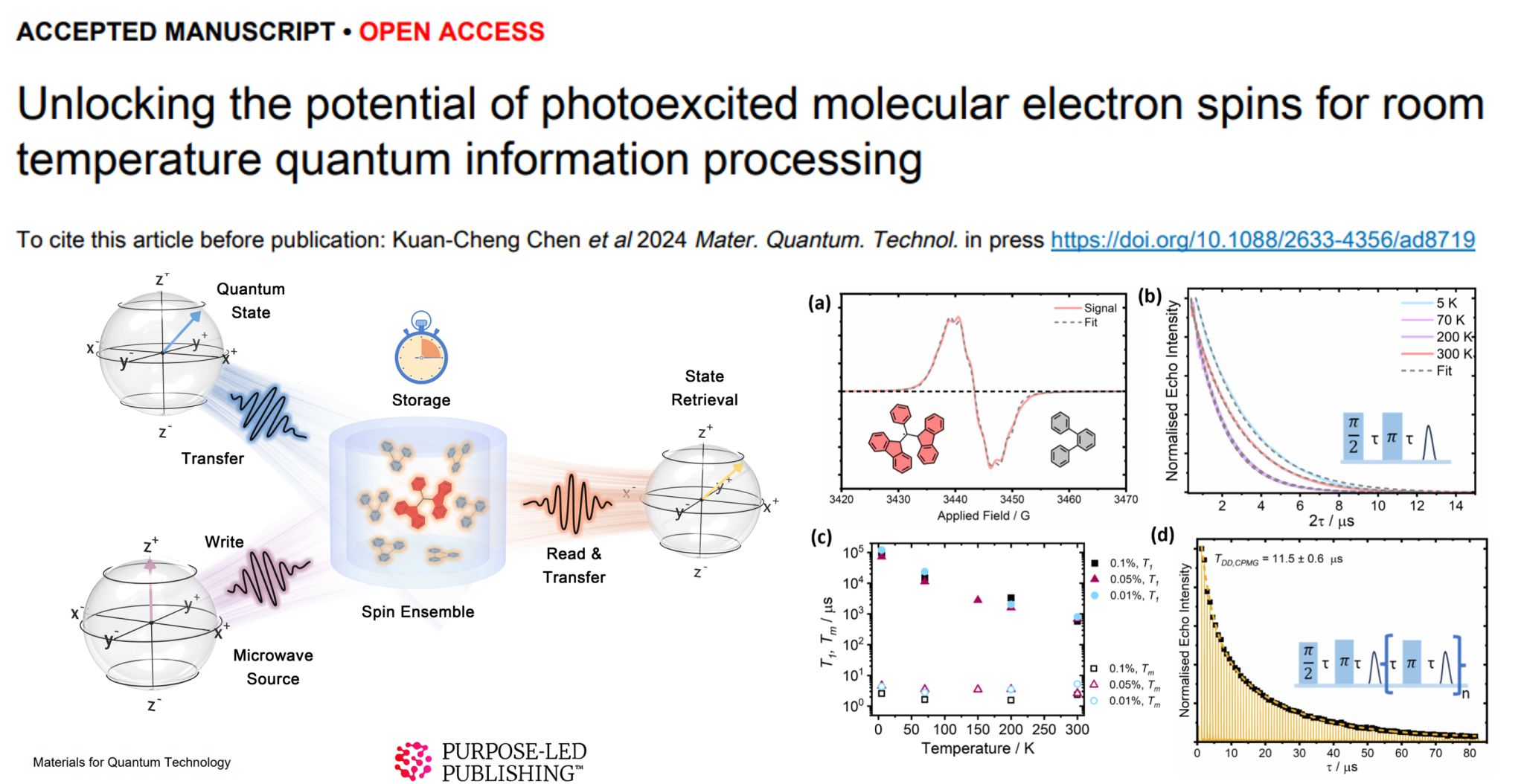 Room-Temperature Quantum Information Processing with Photoexcited Spins